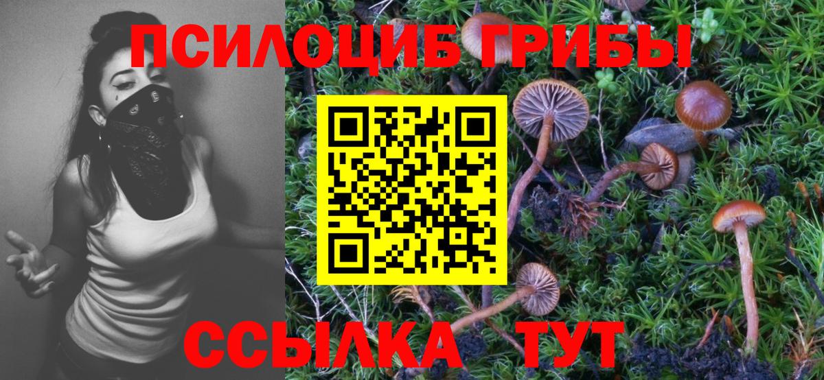 Галлюциногенные грибы прущие грибы Новозыбков