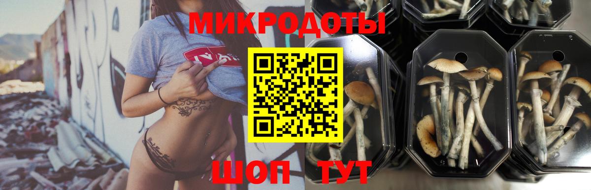 Новозыбков  Галлюциногенные грибы Magic Shrooms  Вход с VPN 